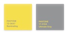 Color of the year 2021